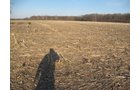 Property photo 23 - 44 Acres Offered in 3 Tracts